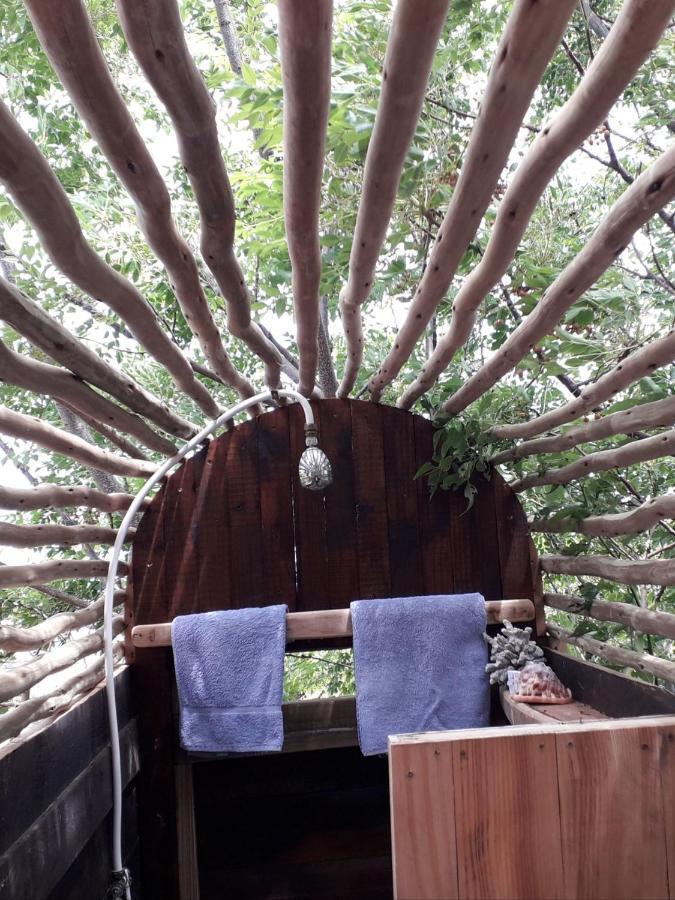 Scarborough Nature Lodge Le Cap Extérieur photo